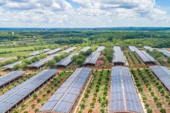 乡村振兴战略向纵深推进(图1) 乡村振兴战略向纵深推进