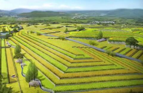 我国耕地生态问题分析 实现耕地资源可持续利用