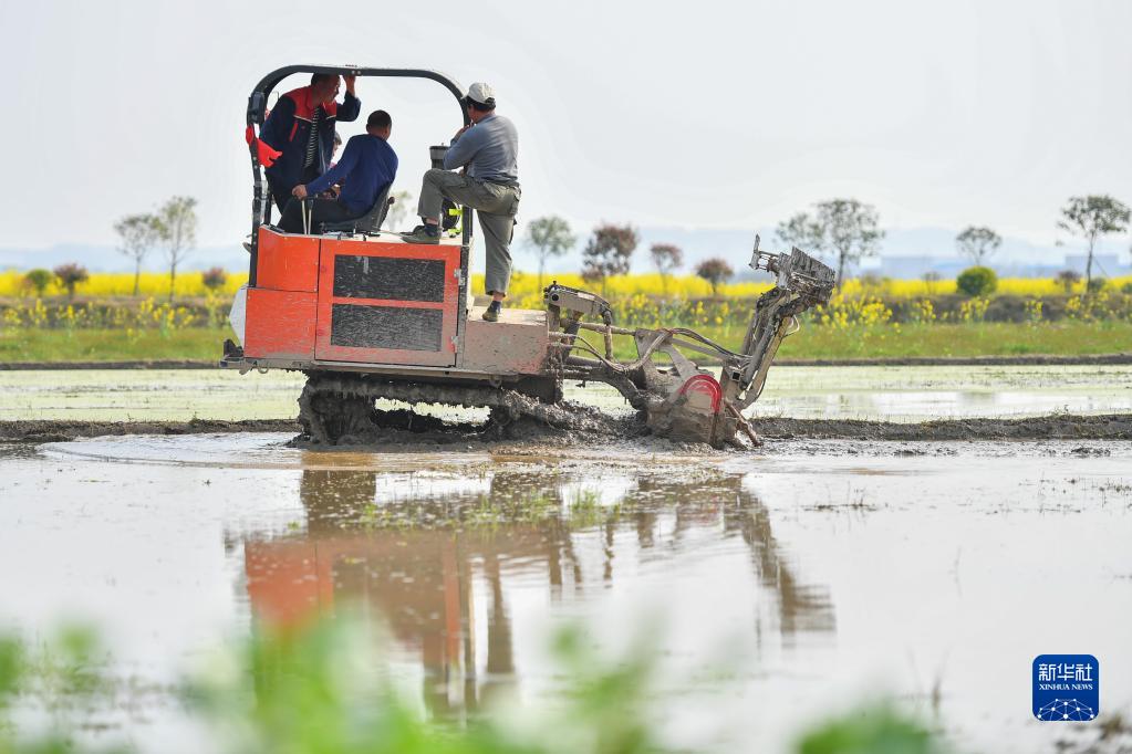 湖南常德:农机培训进田间(图2) 湖南常德:农机培训进田间(图2)