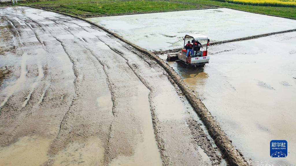 湖南常德:农机培训进田间(图4) 湖南常德:农机培训进田间(图4)