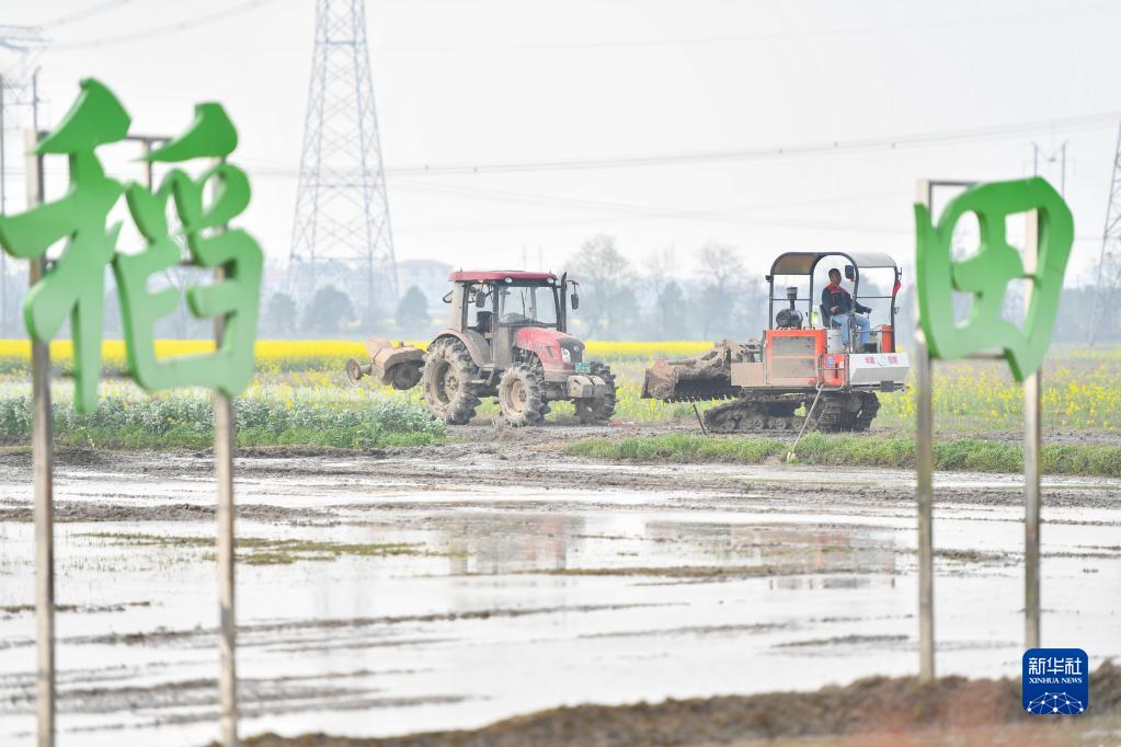 湖南常德:农机培训进田间(图6) 湖南常德:农机培训进田间(图6)