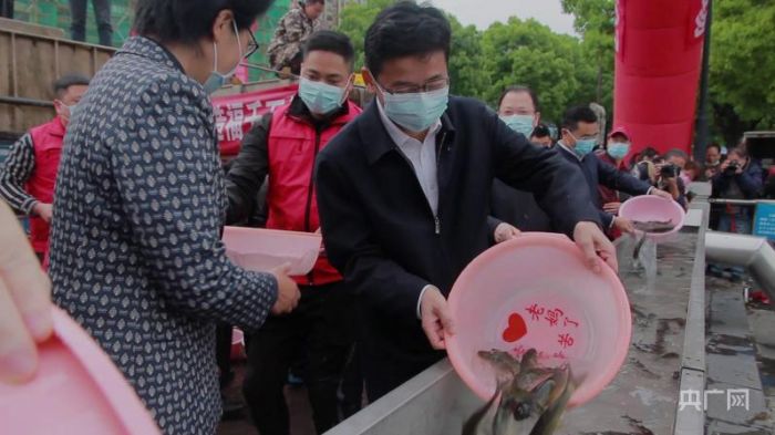 880万尾鱼苗“安家”沅江 湖南常德开展鱼类人工增殖放流活动