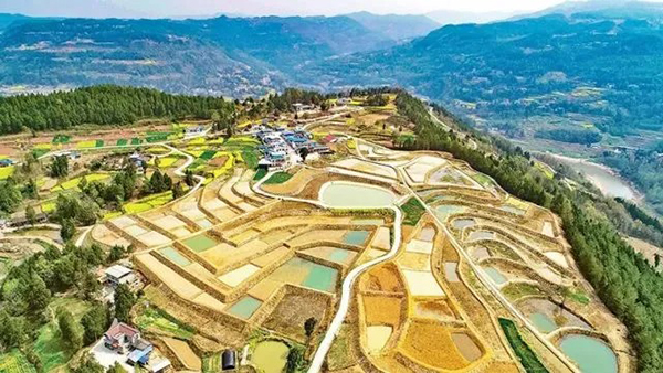 20220401164881652824.jpg 641 (1).jpg