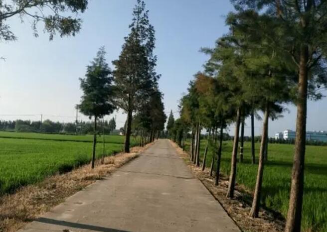 2022年“四好农村路”全国示范县开始申报