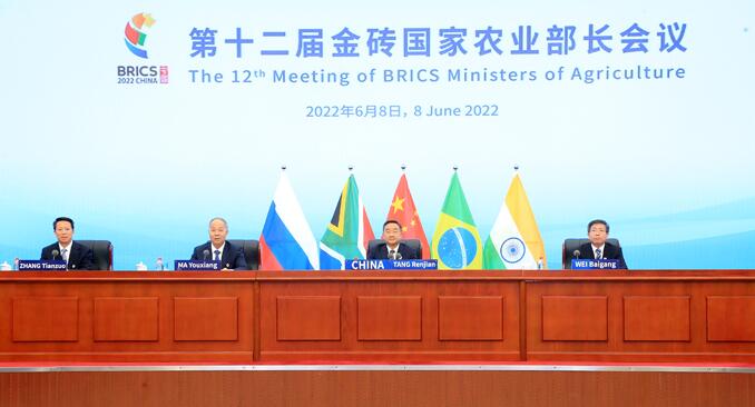 第十二届金砖国家农业部长会议召开 农业农村部部长唐仁健出席并作主旨发言(图1)