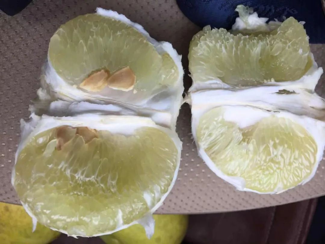 微信图片_20220815225726.jpg 微信图片_20220815225726.jpg