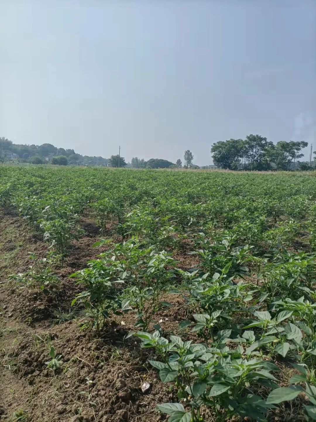 微信图片_20220831152212.jpg 微信图片_20220831152212.jpg