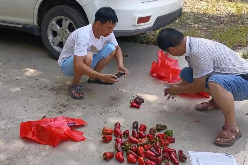 微信图片_20220831152255.jpg 微信图片_20220831152255.jpg