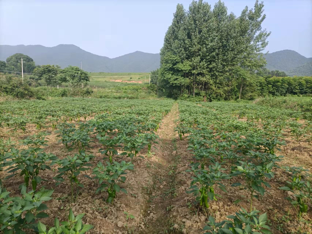 微信图片_20220831152151.png 微信图片_20220831152151.png