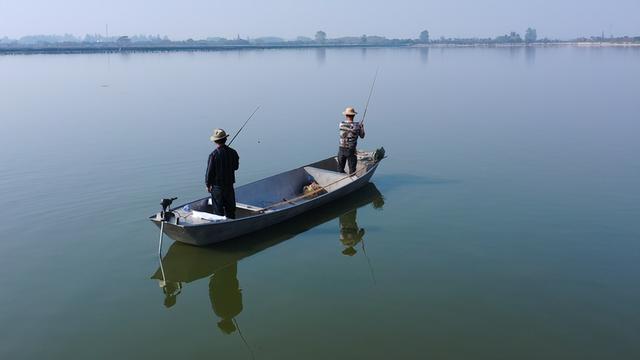 汉寿甲鱼甲天下, 中国(汉寿)首届甲鱼产业大会将于11月5日举办(图2)