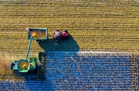 2022年乡村振兴项目政策和补贴详解 | 政策解读