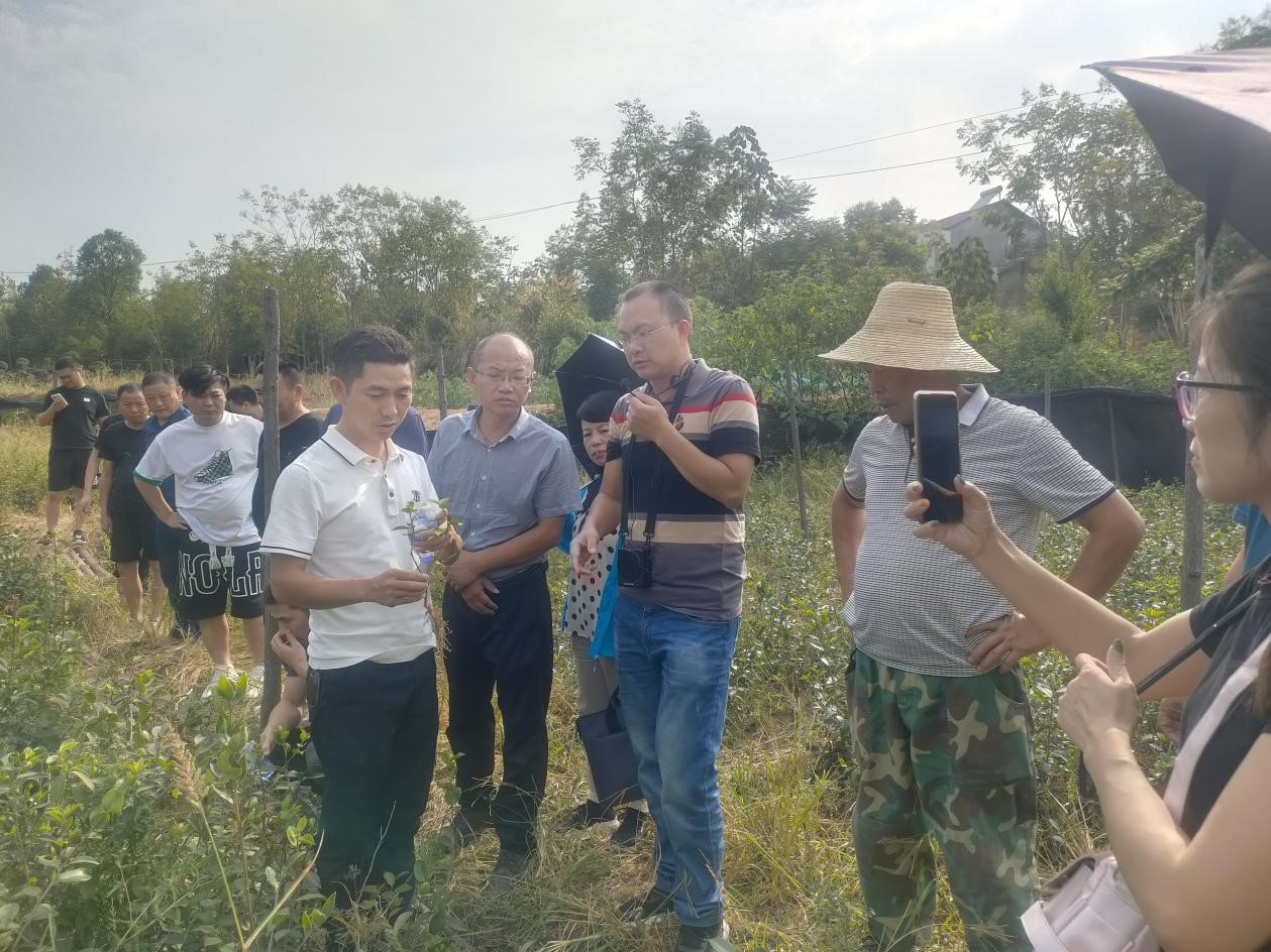 图片2.jpg 图片2.jpg