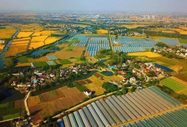 产业兴旺是乡村发展的核心动力