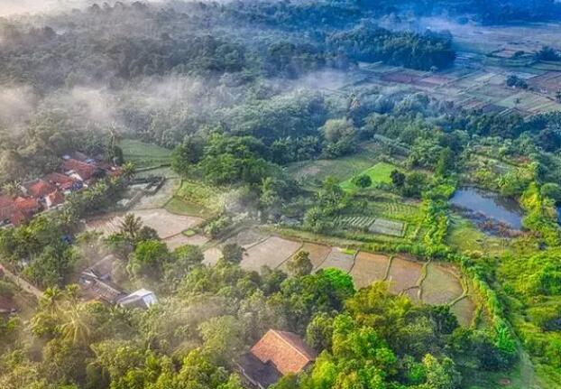 乡村人才振兴如何破解“两难”