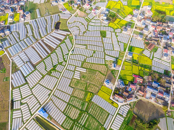 20220317164749006312.jpg 640 (1).jpg