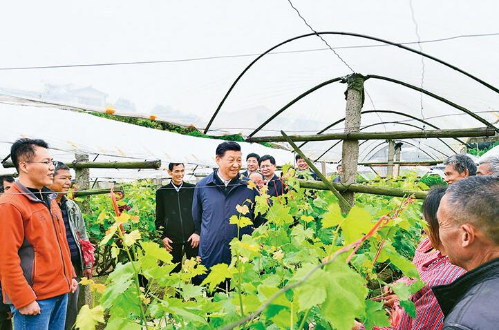 习近平总书记“把脉”乡村产业