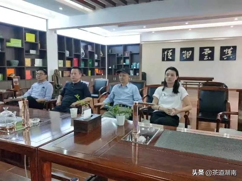 “武陵红考茶团”走进壶瓶山有机茶园(图8) “武陵红考茶团”走进壶瓶山有机茶园