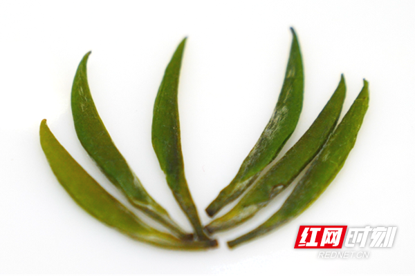 图片3.png 图片3.png