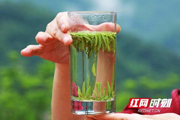 图片8.png 图片8.png