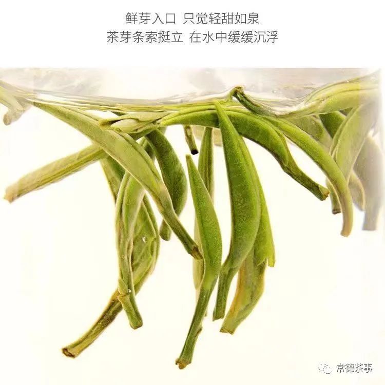 微信图片_20220805233905.jpg 微信图片_20220805233905.jpg