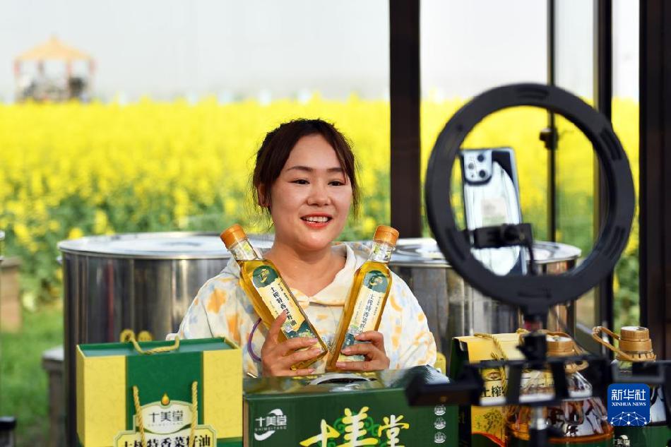 湖南常德:油菜花开迎客来(图5) 湖南常德:油菜花开迎客来(图5)