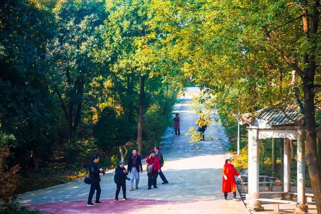 微信图片_20220814185928.jpg 微信图片_20220814185928.jpg