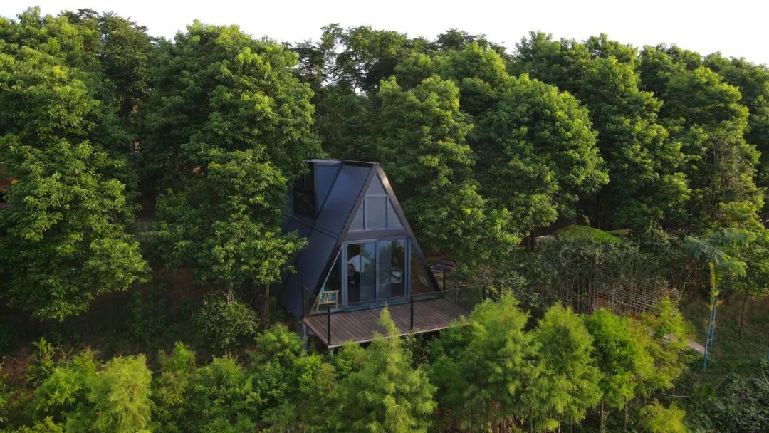 微信图片_20220815002128.jpg 微信图片_20220815002128.jpg