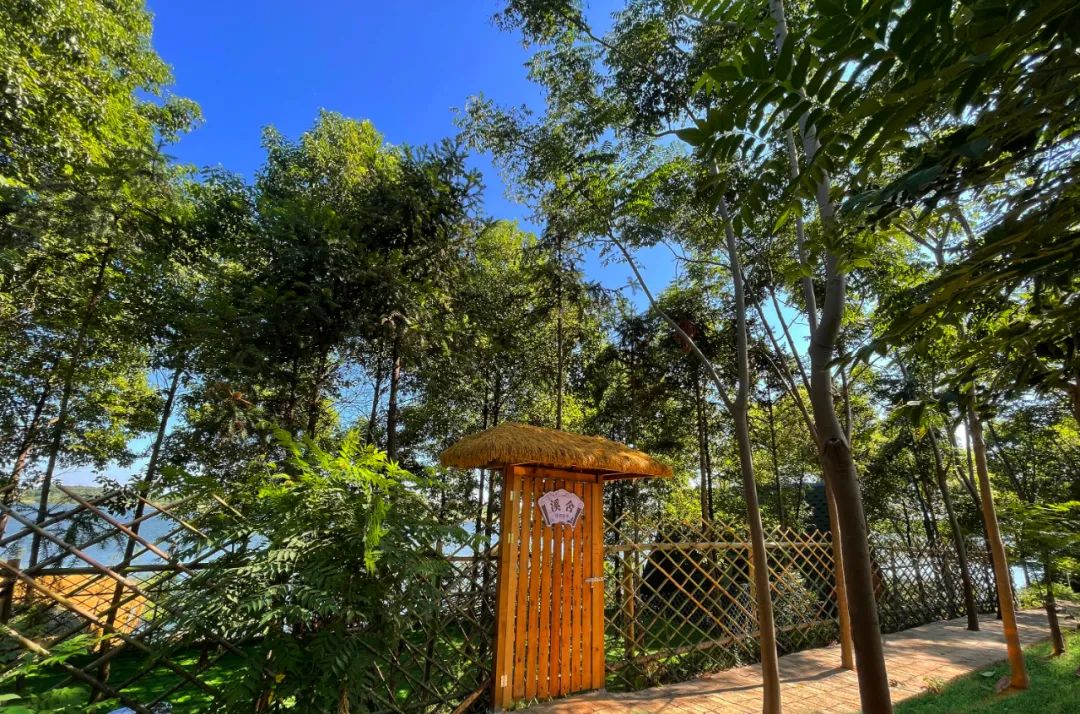 微信图片_20220815002134.jpg 微信图片_20220815002134.jpg