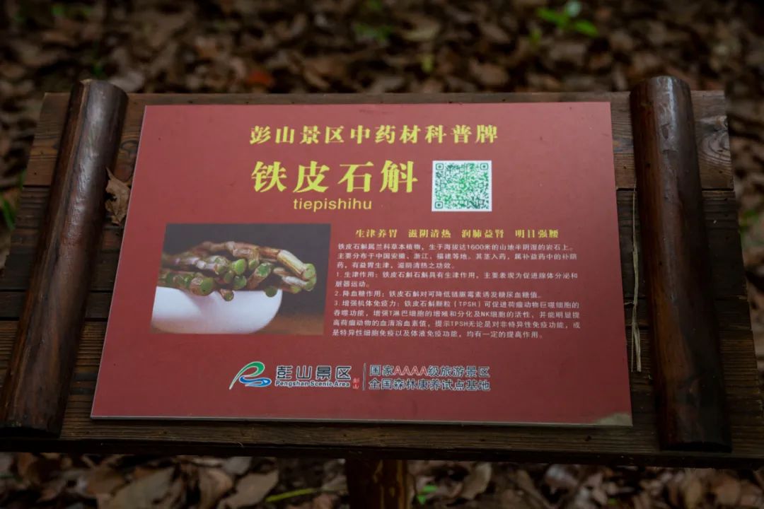 微信图片_20220816223504.jpg 微信图片_20220816223504.jpg