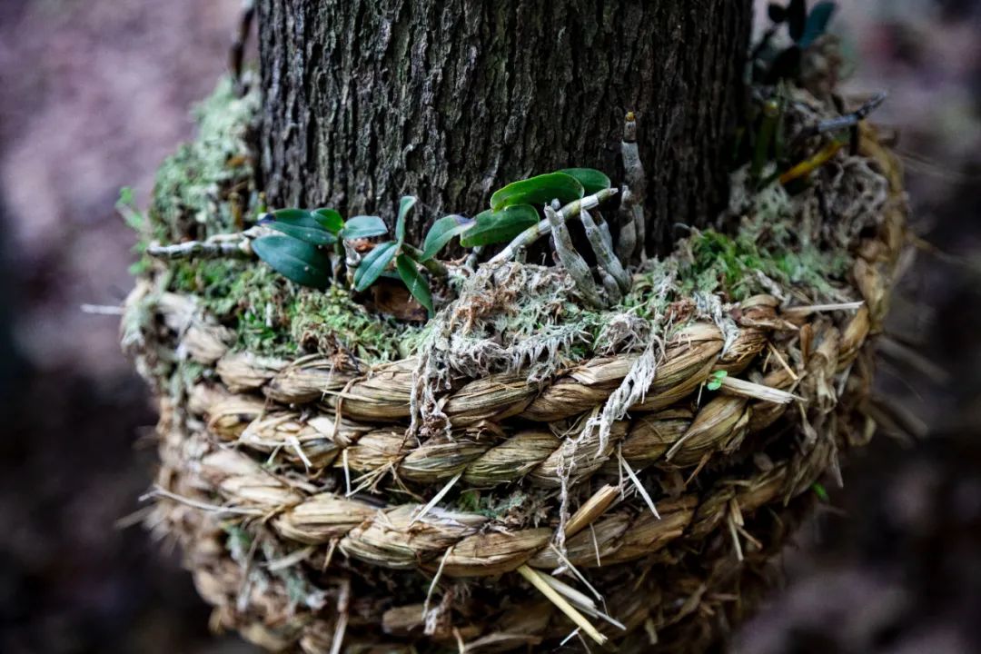 微信图片_20220816223506.jpg 微信图片_20220816223506.jpg