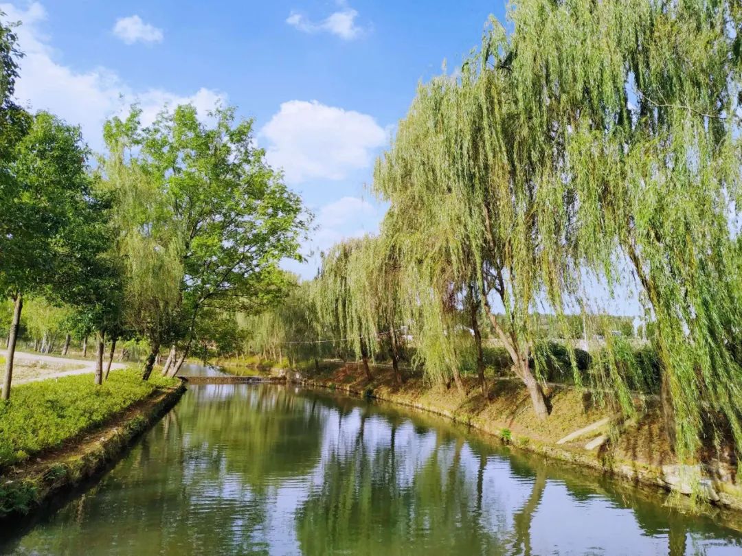 微信图片_20220905105703.jpg 微信图片_20220905105703.jpg