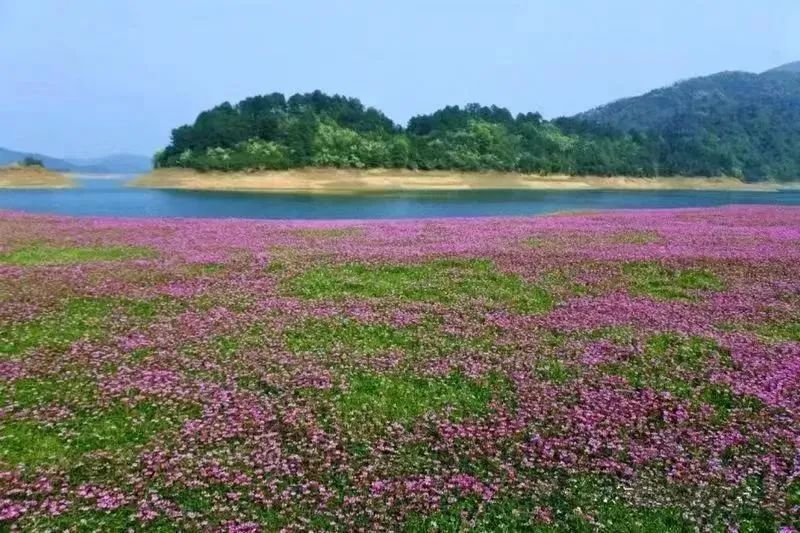 李淑孟：灵山多秀色，空水共氤氲（《最美的风景在眼前》系列散文之八）