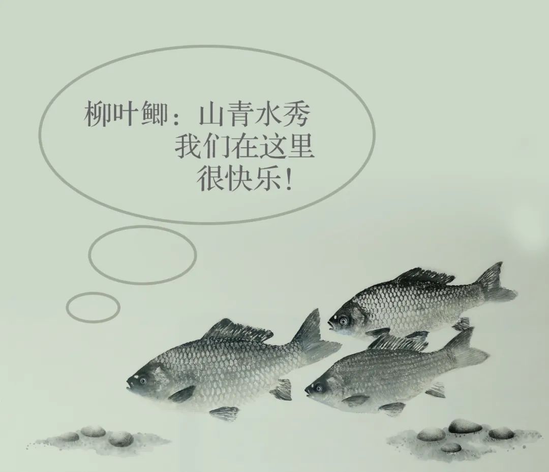 微信图片_20220926174036.jpg 微信图片_20220926174036.jpg