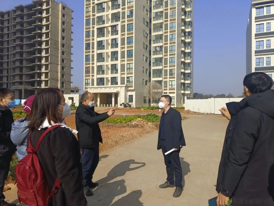 【走进临澧】25条硬核告诉你 千万别到这里来(图21)