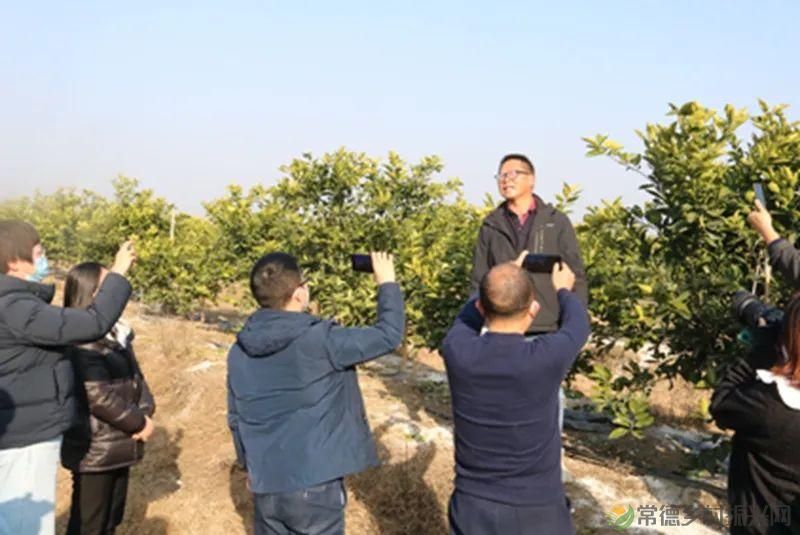 【走进临澧】重磅!请查收这份干货满满的临澧人才新政最强音(图22) 【走进临澧】重磅!请查收这份干货满满的临澧人才新政最强音(图22)