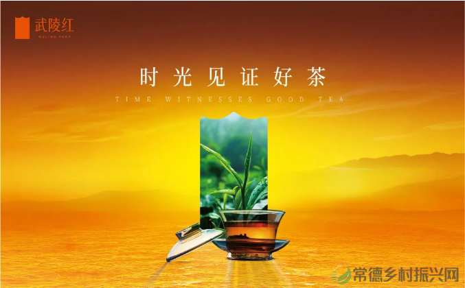 喜报 | 武陵红1915被中国茶叶学会授予“四星名茶”称号(图5) image.png