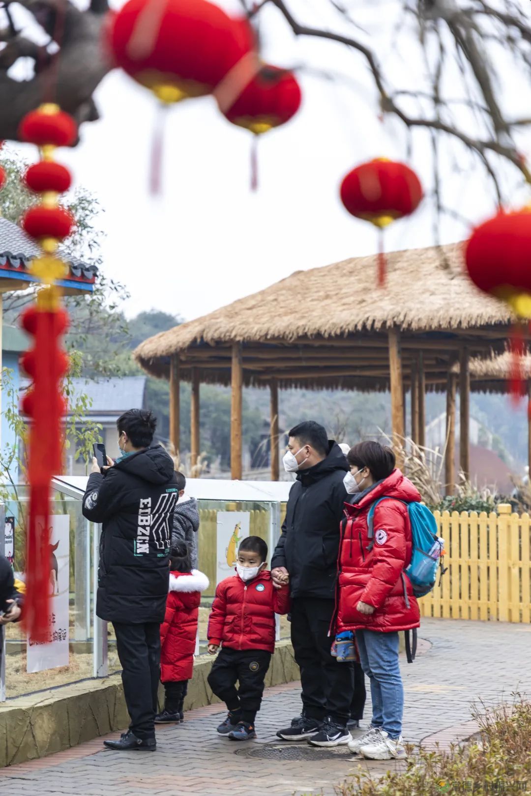 喜报!常德野生动物世界获纳税、就业突出贡献奖(图9) 9.jpg