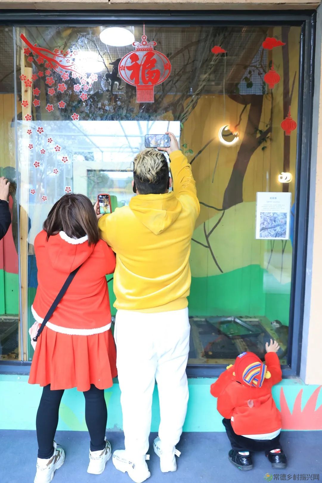 喜报!常德野生动物世界获纳税、就业突出贡献奖(图10) 10.jpg