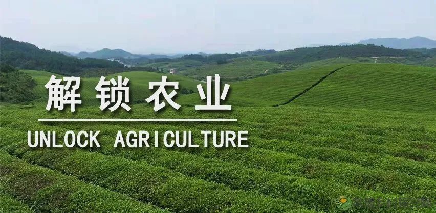 地理标志如何助力乡村振兴?知识产权法专家们这样说(图2) 微信图片_20230207204826.jpg