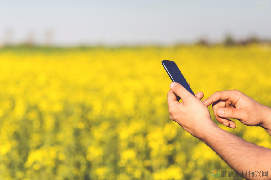 地理标志如何助力乡村振兴?知识产权法专家们这样说(图9) 微信图片_20230207205119.png