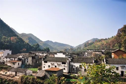 2023最新乡村振兴补贴申领指南！记得收藏备用！