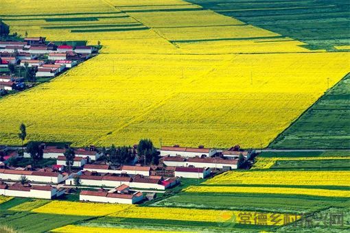 2023最新乡村振兴补贴申领指南!记得收藏备用!(图4) 640 (6).jpg