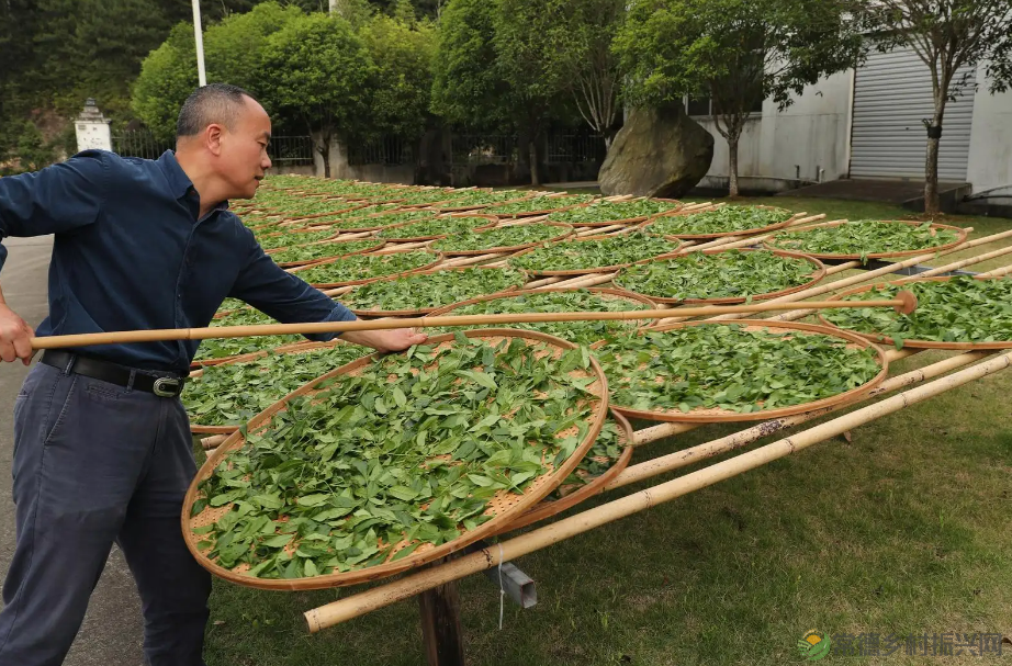 【寻美常德 · 茶】浮山野茗·一盏暖茶待君饮(图15) 【寻美常德 · 茶】浮山野茗·一盏暖茶待君饮(图15)