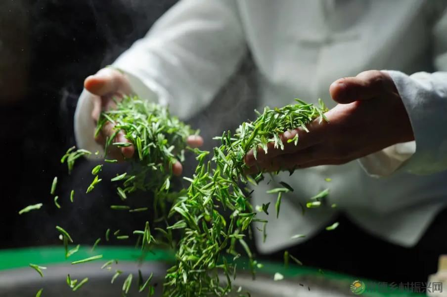 【寻美常德 · 茶】浮山野茗·一盏暖茶待君饮(图16) 【寻美常德 · 茶】浮山野茗·一盏暖茶待君饮(图16)