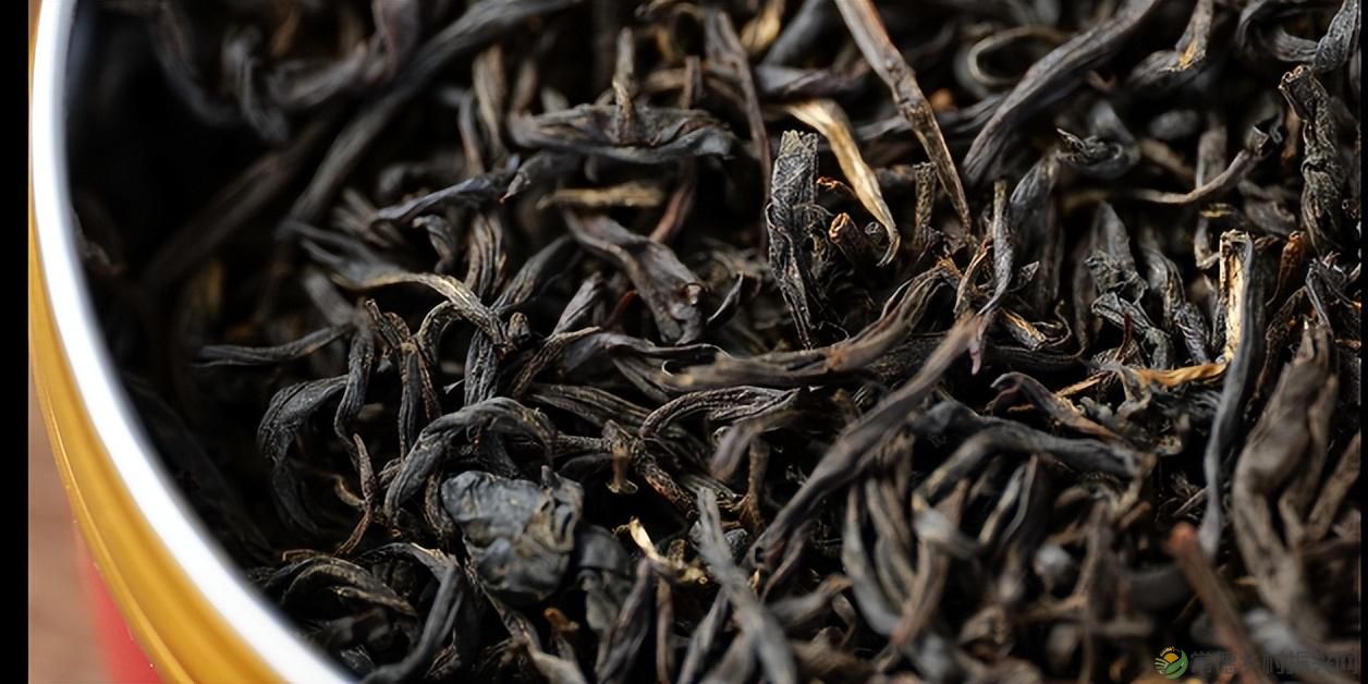 【寻美常德 · 茶】浮山野茗·一盏暖茶待君饮(图22) 【寻美常德 · 茶】浮山野茗·一盏暖茶待君饮(图22)