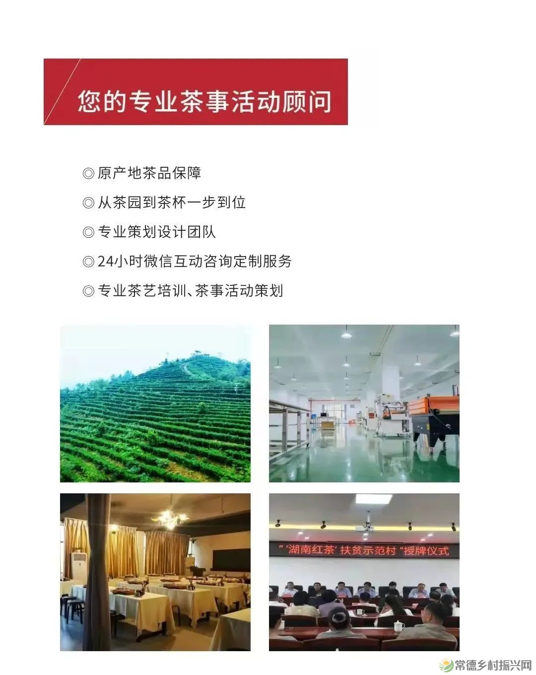 【寻美常德 · 茶】浮山野茗·一盏暖茶待君饮(图33) 【寻美常德 · 茶】浮山野茗·一盏暖茶待君饮(图33)