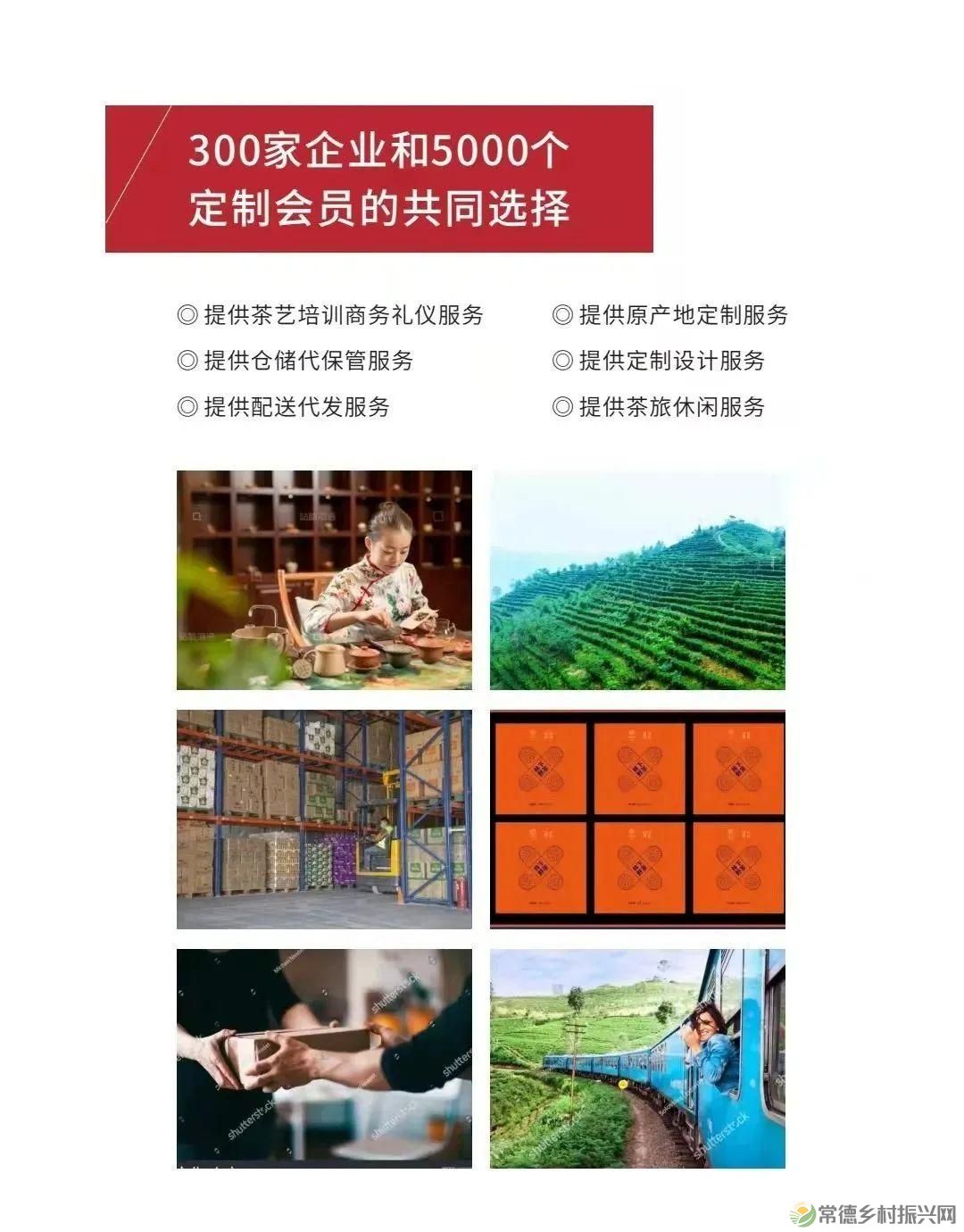 【寻美常德 · 茶】浮山野茗·一盏暖茶待君饮(图36) 【寻美常德 · 茶】浮山野茗·一盏暖茶待君饮(图36)