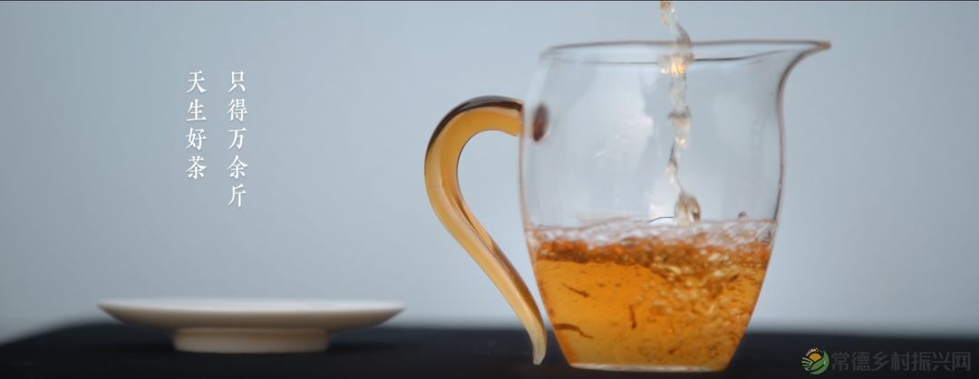 【寻美常德 · 茶】浮山野茗·一盏暖茶待君饮(图40) 【寻美常德 · 茶】浮山野茗·一盏暖茶待君饮(图40)