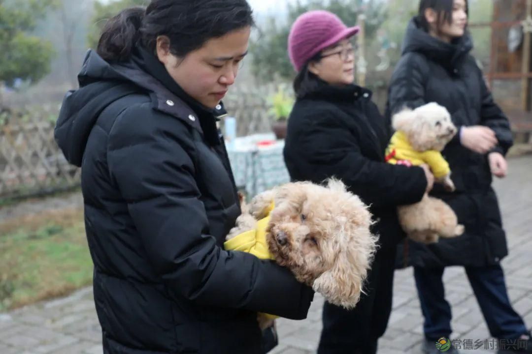 【寻美常德 · 民宿】柳叶湖畔这家民宿小院再现了许多儿时乡村记忆(图58) 【寻美常德 · 民宿】柳叶湖畔这家民宿小院再现了许多儿时乡村记忆(图58)