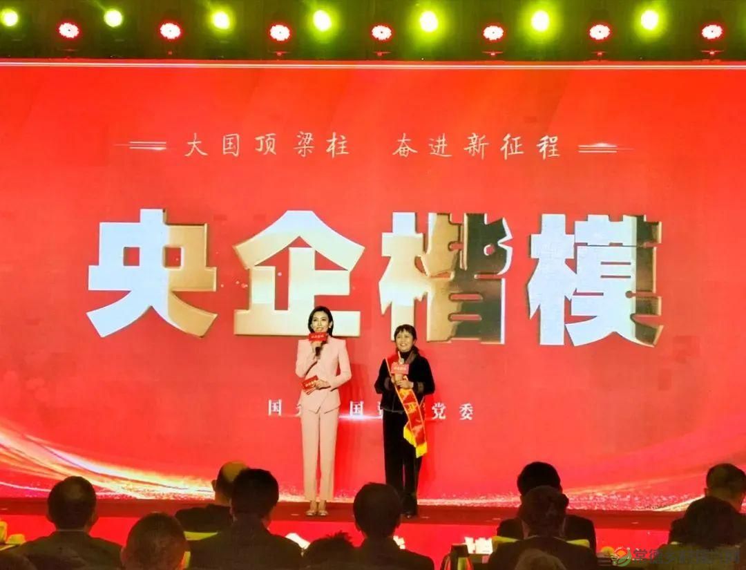 【走进临澧】她是临澧人的骄傲,荣获“央企楷模”称号!(图3) 【走进临澧】她是临澧人的骄傲,荣获“央企楷模”称号!(图3)